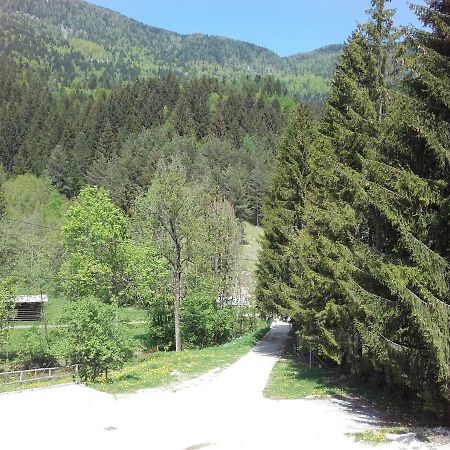Klass 203 Kranjska Gora Zewnętrze zdjęcie